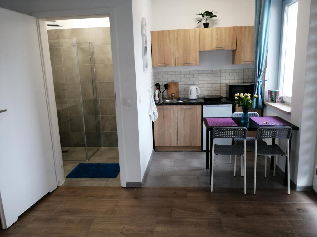 Pokoje - Studio Gliwice I Przy Onkologii Ngoại thất bức ảnh
