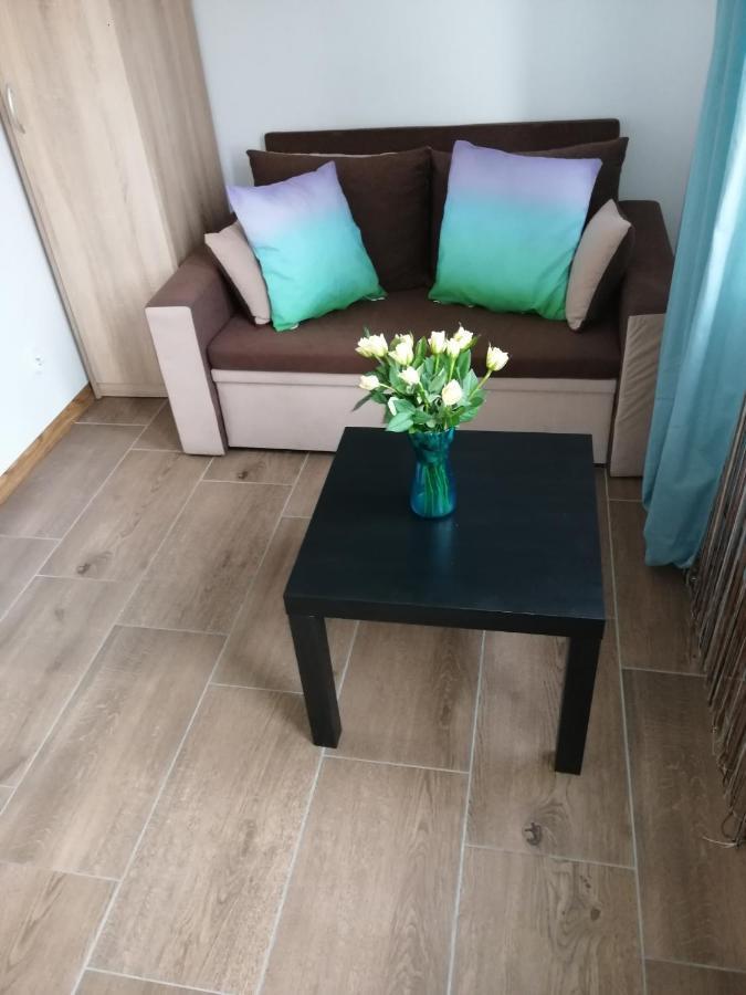 Pokoje - Studio Gliwice I Przy Onkologii Ngoại thất bức ảnh